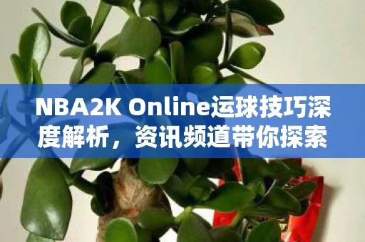 NBA2K Online运球技巧深度解析图片