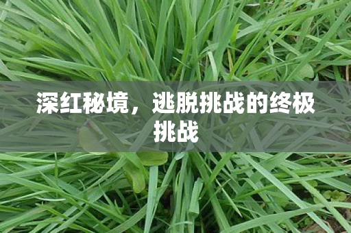逃脱挑战的终极挑战图片