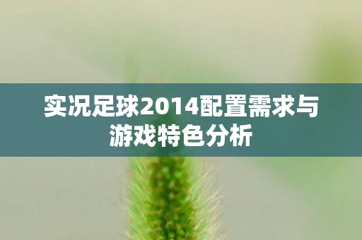 实况足球2014配置需求与游戏特色分析图片