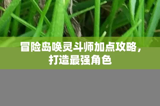 冒险岛唤灵斗师加点攻略图片