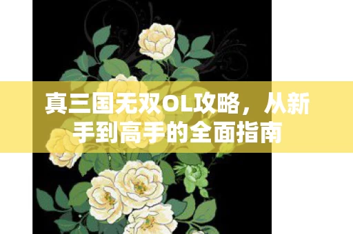 从新手到高手的全面指南图片
