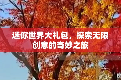 探索无限创意的奇妙之旅图片