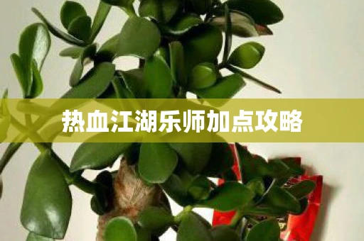 热血江湖乐师加点攻略