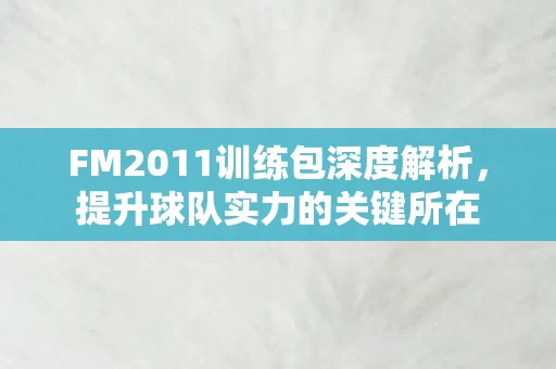 FM2011训练包深度解析图片