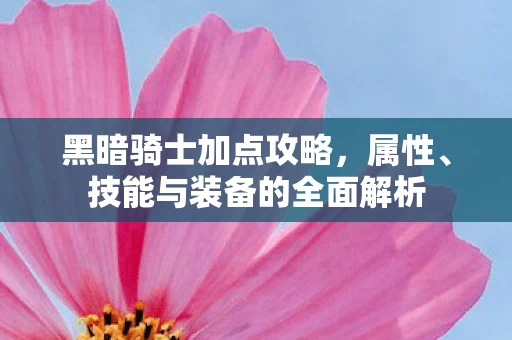 技能与装备的全面解析图片
