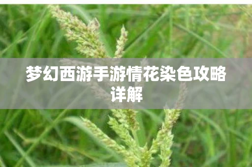 梦幻西游手游情花染色攻略详解图片