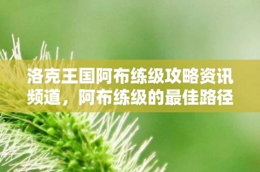 洛克王国阿布练级攻略资讯频道，阿布练级的最佳路径