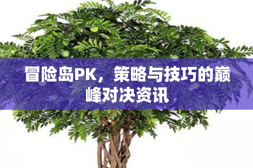 冒险岛PK，策略与技巧的巅峰对决资讯