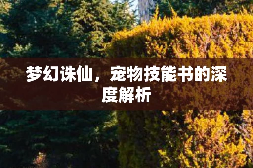 宠物技能书的深度解析图片
