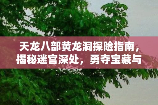 天龙八部黄龙洞探险指南图片