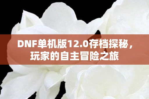 DNF单机版12.0存档探秘，玩家的自主冒险之旅