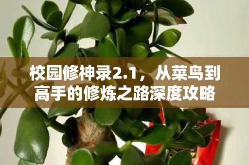 校园修神录2.1，从菜鸟到高手的修炼之路深度攻略