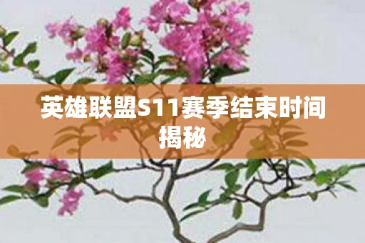 英雄联盟S11赛季结束时间揭秘