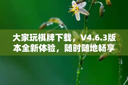 大家玩棋牌下载，V4.6.3版本全新体验，随时随地畅享棋牌乐趣