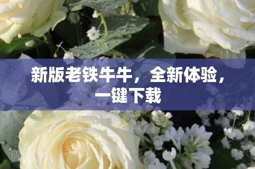 新版老铁牛牛，全新体验，一键下载