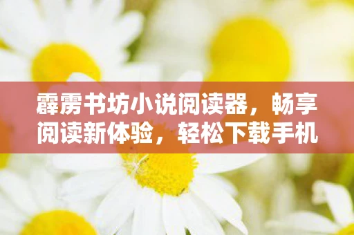 霹雳书坊小说阅读器，畅享阅读新体验，轻松下载手机版v1.3.4