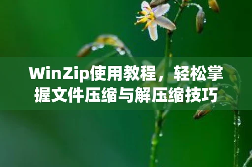 WinZip使用教程，轻松掌握文件压缩与解压缩技巧