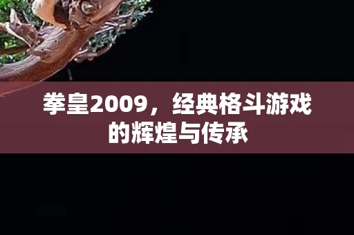 拳皇2009，经典格斗游戏的辉煌与传承