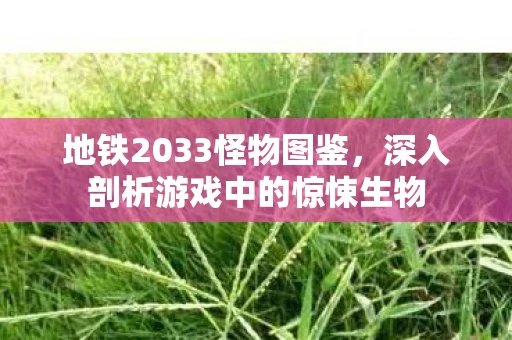 地铁2033怪物图鉴，深入剖析游戏中的惊悚生物
