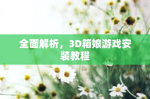 全面解析，3D箱娘游戏安装教程