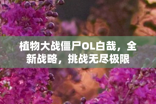 植物大战僵尸OL白哉，全新战略，挑战无尽极限
