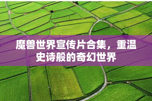 魔兽世界宣传片合集，重温史诗般的奇幻世界