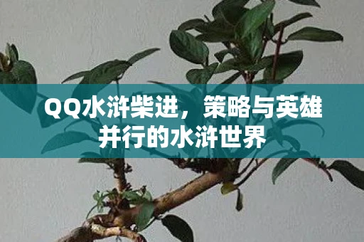QQ水浒柴进，策略与英雄并行的水浒世界