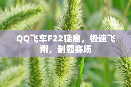 QQ飞车F22猛禽，极速飞翔，制霸赛场