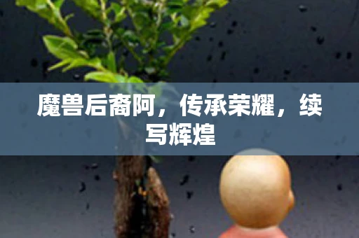 魔兽后裔阿，传承荣耀，续写辉煌