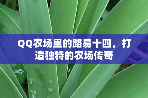 QQ农场里的路易十四，打造独特的农场传奇