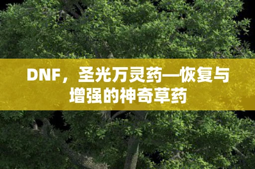 DNF，圣光万灵药—恢复与增强的神奇草药