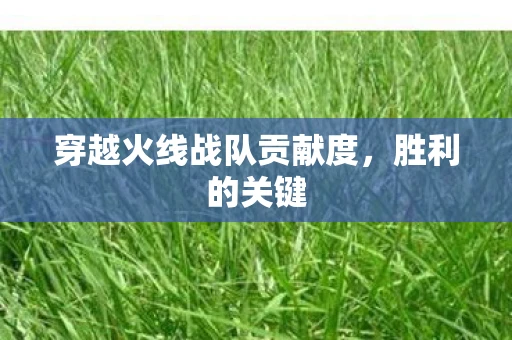 穿越火线战队贡献度，胜利的关键