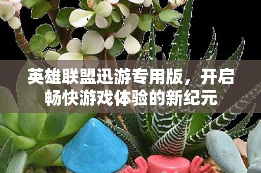 英雄联盟迅游专用版，开启畅快游戏体验的新纪元