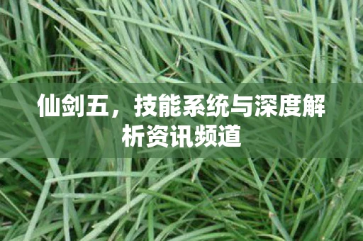 仙剑五，技能系统与深度解析资讯频道