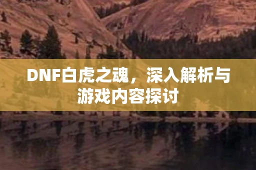 DNF白虎之魂，深入解析与游戏内容探讨