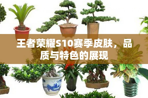 王者荣耀S10赛季皮肤，品质与特色的展现