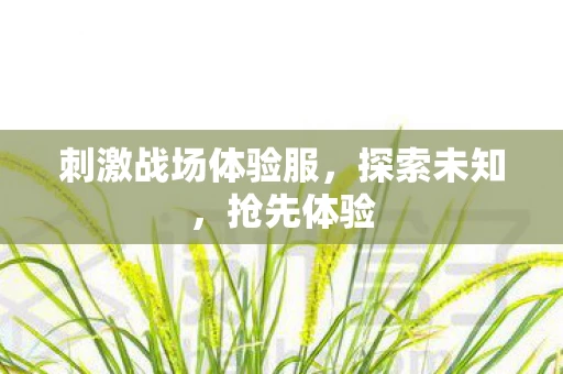 刺激战场体验服，探索未知，抢先体验