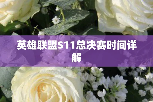 英雄联盟S11总决赛时间详解