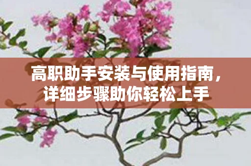 高职助手安装与使用指南，详细步骤助你轻松上手