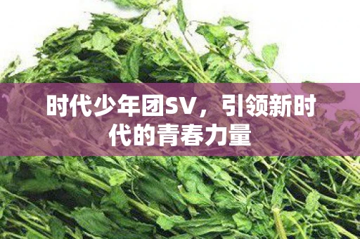 时代少年团SV，引领新时代的青春力量