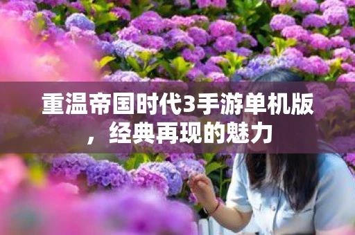 重温帝国时代3手游单机版，经典再现的魅力