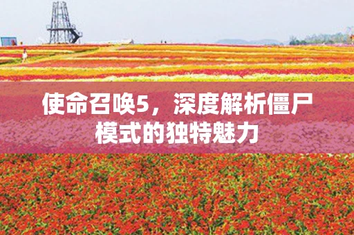 使命召唤5，深度解析僵尸模式的独特魅力