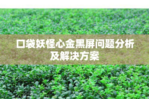 口袋妖怪心金黑屏问题分析及解决方案