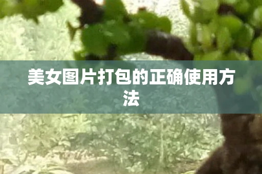 美女图片打包的正确使用方法
