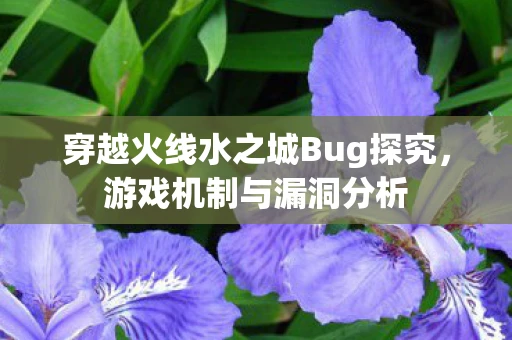穿越火线水之城Bug探究，游戏机制与漏洞分析