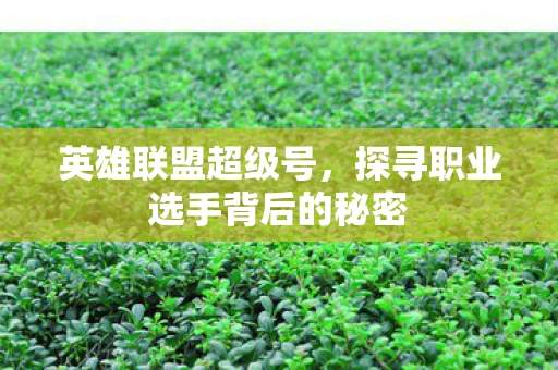 英雄联盟超级号，探寻职业选手背后的秘密