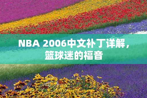 NBA 2006中文补丁详解，篮球迷的福音