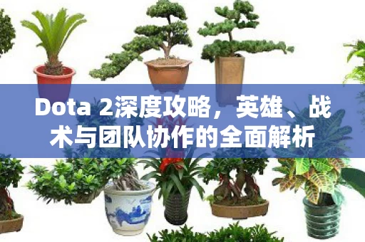 战术与团队协作的全面解析图片