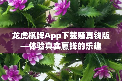 龙虎棋牌App下载赚真钱版—体验真实赢钱的乐趣