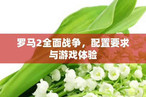 罗马2全面战争，配置要求与游戏体验